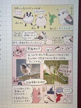 特別展「鳥 ～ゲノム解析が解き明かす新しい鳥類の系統～」国立科学博物館に投稿された画像（2025/2/5）