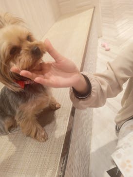 いぬカフェRio 池袋店に投稿された画像（2025/2/5）