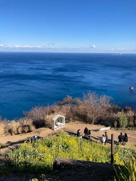 ACAO FORESTに投稿された画像（2025/2/5）