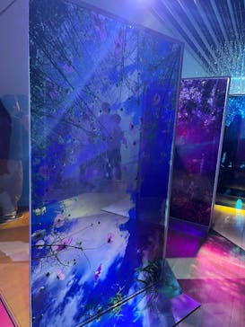 蜷川実花展 with EiM：彼岸の光、此岸の影 NINAGAWA Mika with EiM：Lights of the beyond, Shadows of this worldに投稿された画像（2025/2/5）