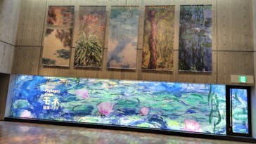 モネ 睡蓮のとき（国立西洋美術館）に投稿された画像（2025/2/5）