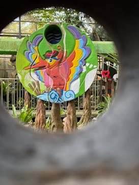 OKINAWAフルーツらんどに投稿された画像（2025/2/5）