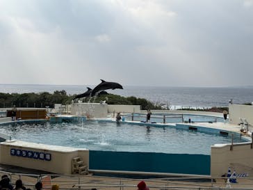 沖縄美ら海水族館に投稿された画像（2025/2/5）