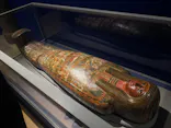 ブルックリン博物館所蔵 特別展 古代エジプトに投稿された画像（2025/2/5）