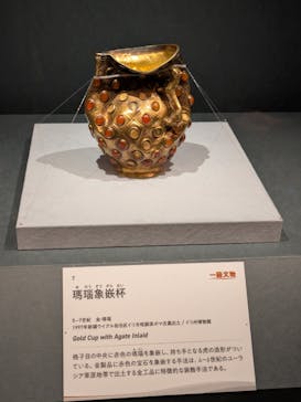 日中平和友好条約45周年記念　世界遺産　大シルクロード展に投稿された画像（2025/2/5）