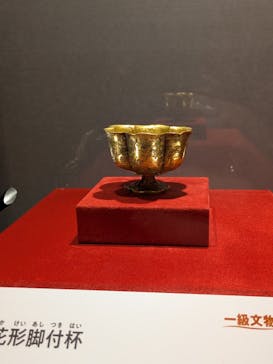 日中平和友好条約45周年記念　世界遺産　大シルクロード展に投稿された画像（2025/2/5）