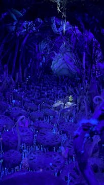 金曜ロードショーとジブリ展　三重展に投稿された画像（2025/2/5）