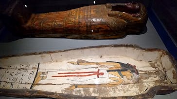 ブルックリン博物館所蔵 特別展 古代エジプトに投稿された画像（2025/2/6）