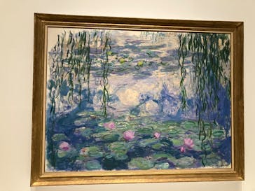 モネ 睡蓮のとき（国立西洋美術館）に投稿された画像（2025/2/6）