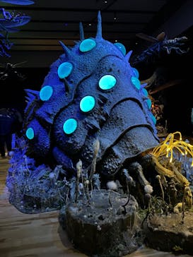 金曜ロードショーとジブリ展　三重展に投稿された画像（2025/2/6）