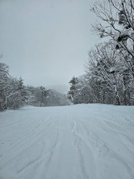 いいづなリゾートスキー場に投稿された画像（2025/2/6）