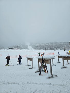 いいづなリゾートスキー場に投稿された画像（2025/2/6）