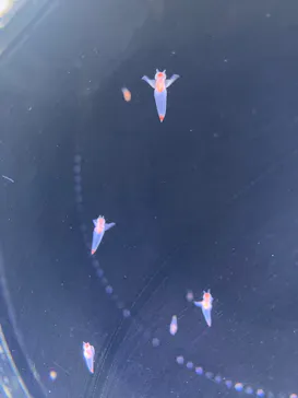 仙台うみの杜水族館に投稿された画像（2025/2/6）