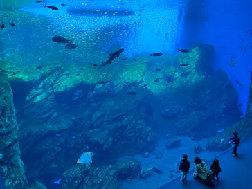 仙台うみの杜水族館に投稿された画像（2025/2/6）