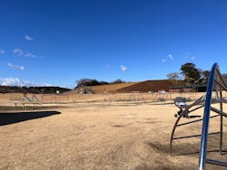 東京ドイツ村に投稿された画像（2025/2/6）