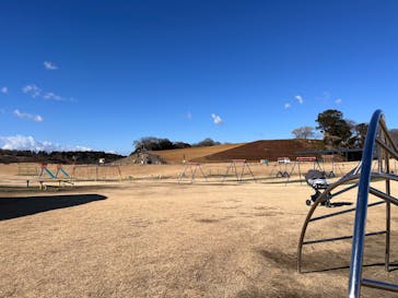 東京ドイツ村に投稿された画像（2025/2/6）