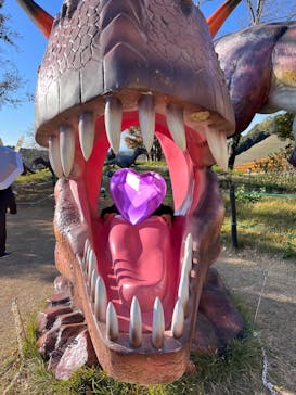 東京ドイツ村に投稿された画像（2025/2/6）