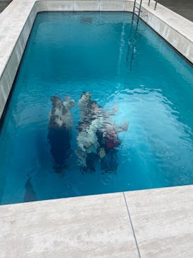 金沢21世紀美術館に投稿された画像（2025/2/6）