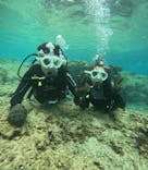 沖縄マリンサービス碧に投稿された画像（2025/2/6）