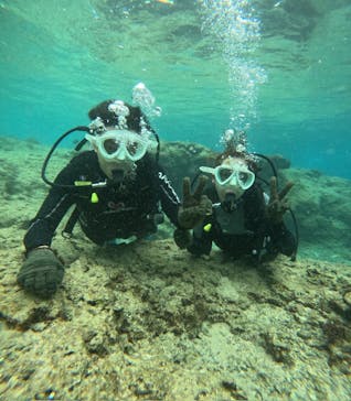 沖縄マリンサービス碧に投稿された画像（2025/2/6）