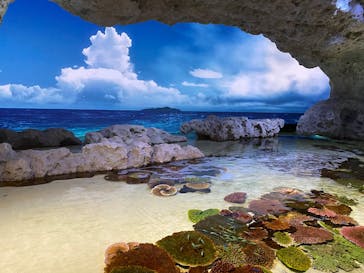 DMMかりゆし水族館に投稿された画像（2025/2/6）