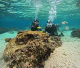 武藤潜水に投稿された画像（2025/2/6）