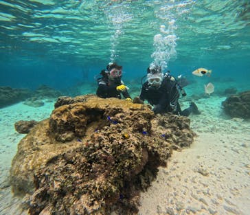 武藤潜水に投稿された画像（2025/2/6）