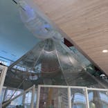 京王あそびの森HUGHUGに投稿された画像（2025/2/6）