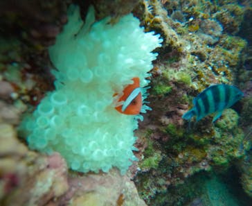 武藤潜水に投稿された画像（2025/2/6）