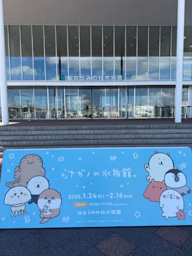 仙台うみの杜水族館に投稿された画像（2025/2/6）