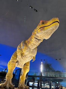 福井県立恐竜博物館に投稿された画像（2025/2/6）