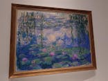 モネ 睡蓮のとき（国立西洋美術館）に投稿された画像（2025/2/6）