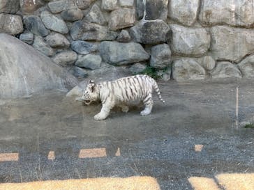 東武動物公園に投稿された画像（2025/2/6）