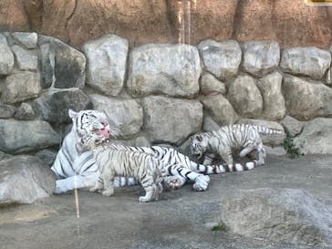 東武動物公園に投稿された画像（2025/2/6）