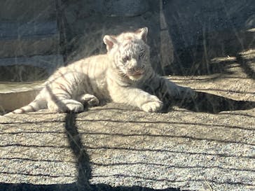 東武動物公園に投稿された画像（2025/2/6）