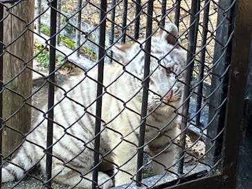 東武動物公園に投稿された画像（2025/2/6）