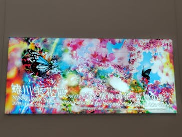 蜷川実花展 with EiM：彼岸の光、此岸の影 NINAGAWA Mika with EiM：Lights of the beyond, Shadows of this worldに投稿された画像（2025/2/6）