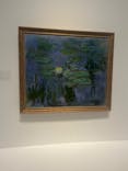 モネ 睡蓮のとき（国立西洋美術館）に投稿された画像（2025/2/6）