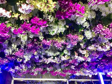 世界らん展2026-花と緑の祭典-に投稿された画像（2025/2/6）