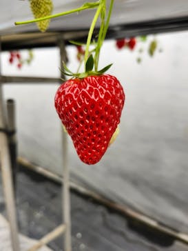 株式会社こまち野に投稿された画像（2025/2/6）