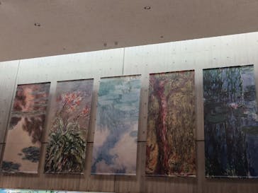 モネ 睡蓮のとき（国立西洋美術館）に投稿された画像（2025/2/6）