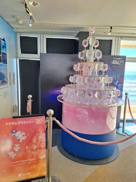 新江ノ島水族館に投稿された画像（2025/2/6）