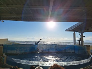 新江ノ島水族館に投稿された画像（2025/2/6）