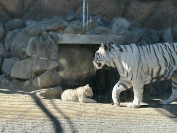 東武動物公園に投稿された画像（2025/2/6）
