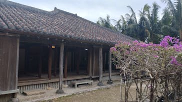 石垣やいま村に投稿された画像（2025/2/6）