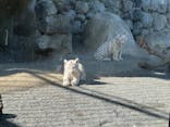 東武動物公園に投稿された画像（2025/2/6）