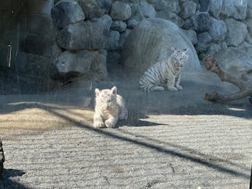 東武動物公園に投稿された画像（2025/2/6）