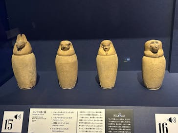 ブルックリン博物館所蔵 特別展 古代エジプトに投稿された画像（2025/2/6）
