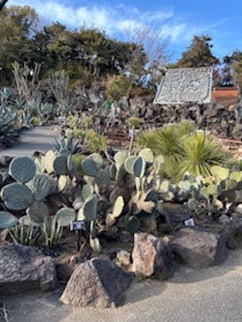 伊豆シャボテン動物公園に投稿された画像（2025/2/6）