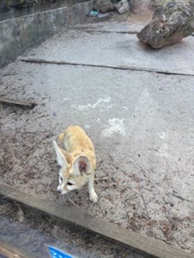 伊豆シャボテン動物公園に投稿された画像（2025/2/6）